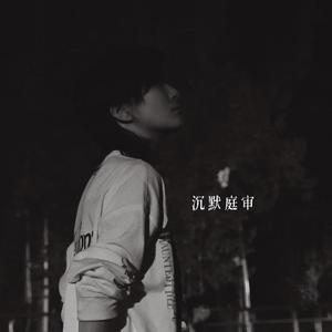 沉默庭审