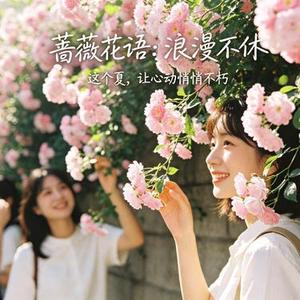 蔷薇与夏