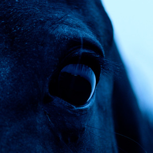 The Mountain of Corsicana