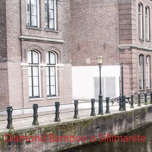 Ajuga Prehnite Diopside