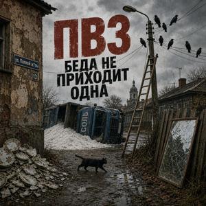 Сопли
