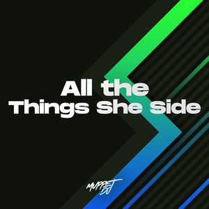 All The Things She Said (Remix)
