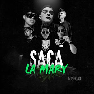 Saca La Mary (feat. JS Producer, Elio Hl, Sayru, Davlsound & Lujuria)