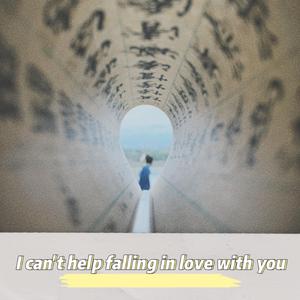 I can't help falling in love with you