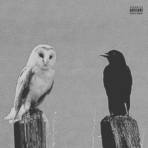 HAYABUSA (feat. Gr.Leaf)