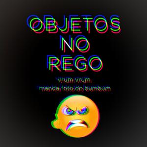 OBJETOS NO REGO