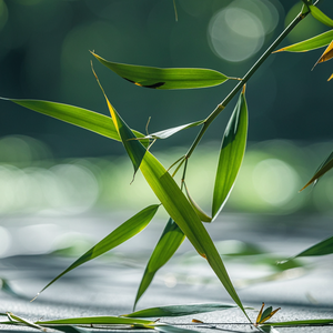 竹和林 prod.by Riven77