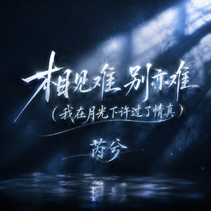 相见难 别亦难(我在月光下许过了情真)