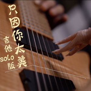 只因你太美（吉他solo版）