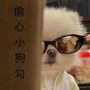 匆匆那年cover:王菲