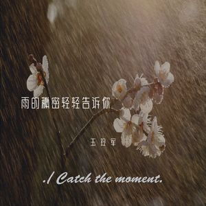 雨的秘密轻轻告诉你