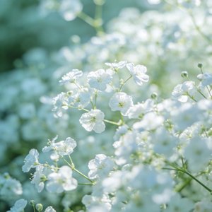 滴落的满天星.wav