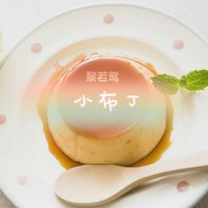 小布丁