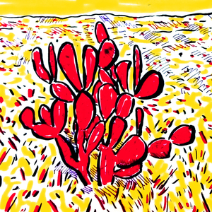 Travelling Incognito