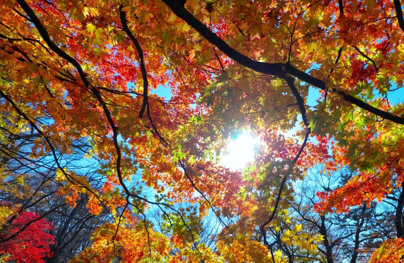 pick up the letter - kennethlo - 网易云音乐