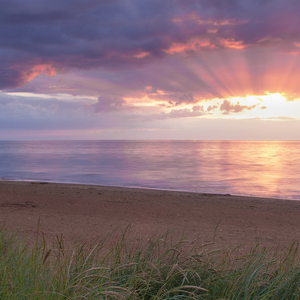 阳了个阳是啥症状 (山歌版)