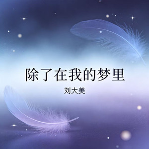 除了在我的梦里