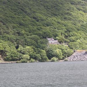 The Wind through the trees