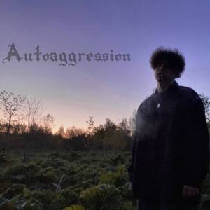 агрессия (prod. everestdidthis x lmg)