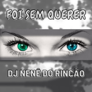 Foi Sem Querer (Extended Version)