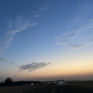 脑海里萦绕的暗恋(2)