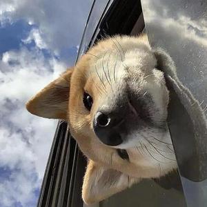 甜蜜蜜（橙子拍黄瓜版）