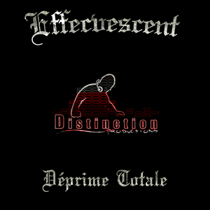 Inertie