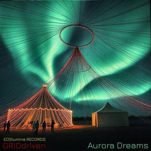 ECHO IN THE GLASS SKY