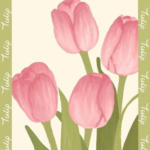 春、恋、花以外の（吉他版 盖盖）（翻自 匀子）