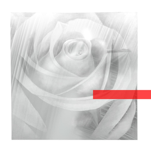 Flowers in My Soul (Casa Del Mirto Remix)