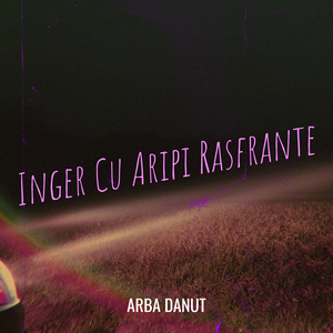Inger Cu Aripi Rasfrante