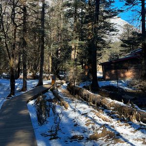 世界上的另一个我