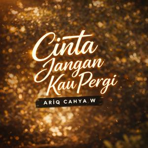Cinta Jangan Kau Pergi