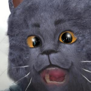 如果有一天我变得很有钱