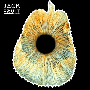 Groove Lab (Extended Mix)