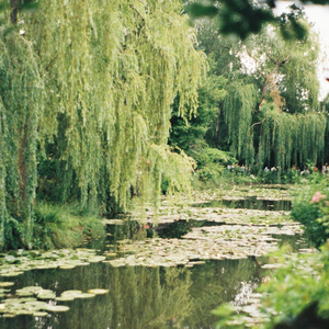 Lll (Live, Laugh, Loser)