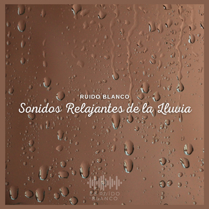 Ruido Blanco: Sonidos Relajantes de la Lluvia (P89)