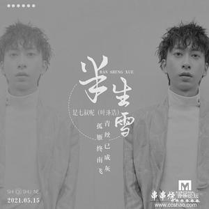 是七叔呢 - 半生雪（DjMr.Chen Rmx)