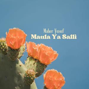 Maula Ya Salli