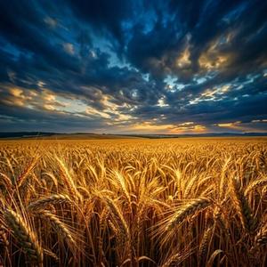 Осінній туман