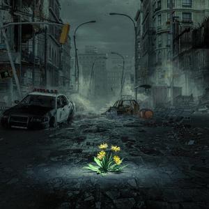 Me diferencio de la Muchedumbre