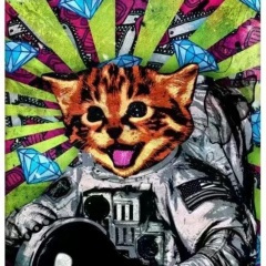 野摩托 (柔情版)(DJ阿卓版)