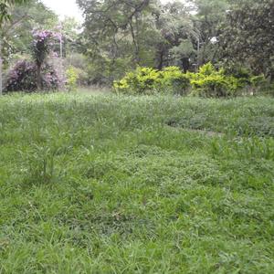 a implacável busca pelo amor