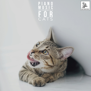 Cat Fall Asleep Music