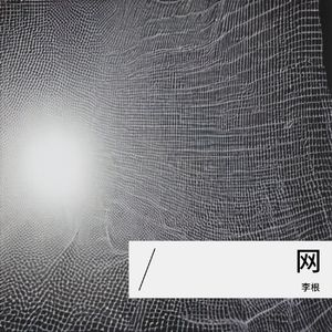 网