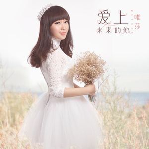 爱上未来的他 (DJ何鹏版)