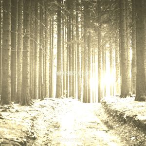 抚慰的蒸汽房回忆