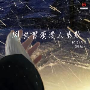 风吹雪漫漫人离散(DJ豪大大版)