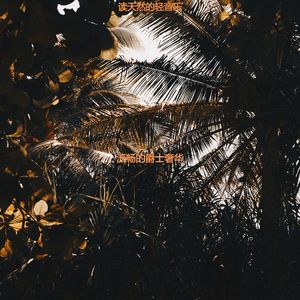 适合在家工作抒情的音乐