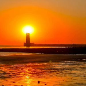 逐光海龙湾-子莹